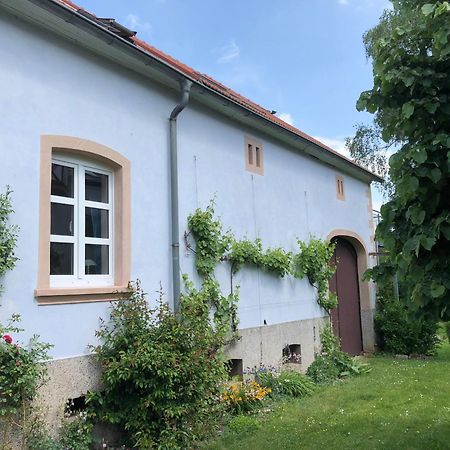 Ferienwohnung Maurer Hasborn-Dautweiler Bagian luar foto