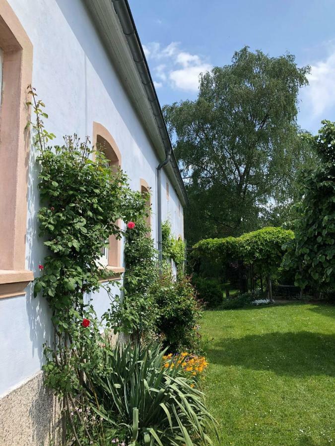 Ferienwohnung Maurer Hasborn-Dautweiler Bagian luar foto